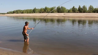 Ловля сазана на маховую удочку