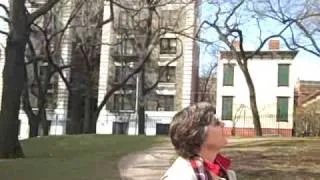 New York City's Oldest House