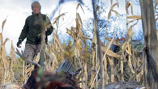 Pheasant hunting - A traditional Bowhunting film - Tales From the Willows