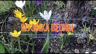 Музыка весны