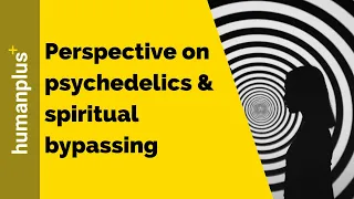 John Vervaeke: Psychedelics & spiritual bypassing