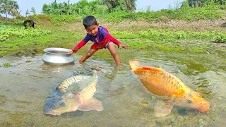 Best Hand Fishing | Amazing Boy Catching Big Fish By Hand in Pond Water