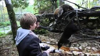 Episode 3 : soigneurs juniors conquis et bébés chouchoutés. Beauval, un œil en coulisse