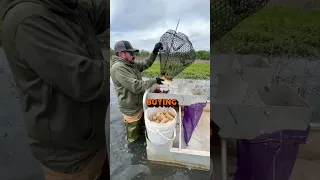 WE OUTGREW OUR FAMILY CRAWFISH FARM 🦞