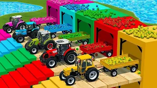 TRACTORS BATTLE WITH GIANT STRAWBERRY AND MINI WATERMELONS USING CLAAS TRACTORS - Farming Simulator