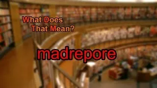 What does madrepore mean?