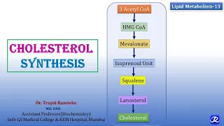 13: Cholesterol Synthesis | Lipid Metabolism-13 | Biochemistry | N'JOY Biochemistry