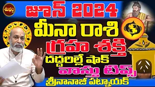 గ్రహ శక్తి దద్దరిల్లే షాక్ | MEENA RASI JUNE 2024 | #JUNE 2024 | NANAJI PATNAIK | SHUBHAM TV