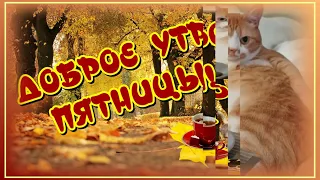 ДОБРОЕ УТРО ПЯТНИЦЫ 😀Пятница-лучший день недели🥰Удачного дня🎶Очень красивая  музыка