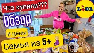 Продукты из Lidl на 195$/Что мы купили?/Цены на продукты в США/Большая семья в Америке/Лидл/Влог