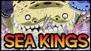 THE SEA KINGS: Massive Leviathans! - One Piece Discussion | Tekking101