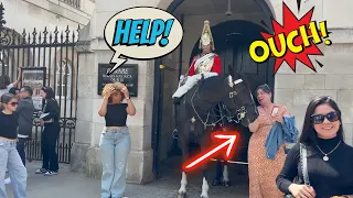 Tourist Messes with Wrong Horse, Gets Bitten Painfully.