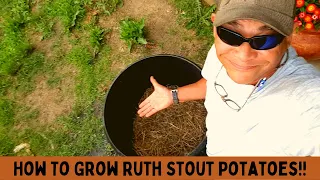 How To Grow Container Potatoes ~~ Using The Ruth Stout Method