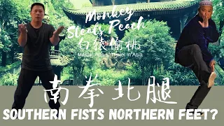 Northern vs Southern Kung Fu - What's the Difference?