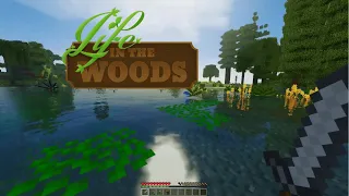 Life In The Woods #001 - A Beautiful And Messy Start - Minecraft Let's Play