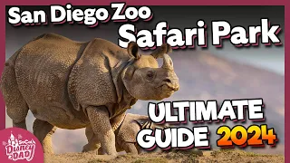 San Diego Zoo Safari Park 2024 | Top Tips, Tour, Exhibits & More