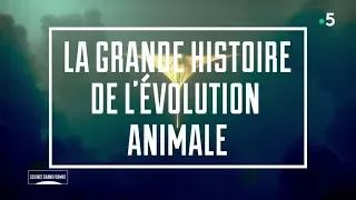La Grande Histoire De L'Evolution Animale (France 5 - 2019)