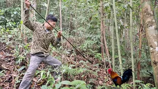 FULL VIDEO; 200 days of surviving alone, discovering wild boars, making rudimentary traps