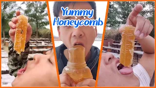 ABS Honey BEE | Best HoneyComb Eating ASMR | Eating Videos🎖️12