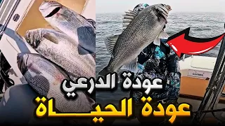 الدرعي هو أول من يهاجم الطعم الاصطناعي 🎣