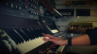 Binson Echorec 2 / Minimoog D - Shine on you crazy Diamond, part VI