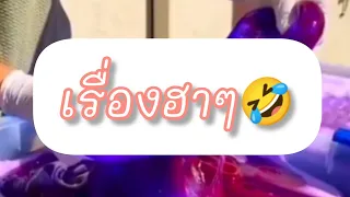 เล่าเรื่องฮาๆ🤣ขออนุญาตเจ้าของคลิปนะคะ🙏