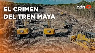 Estos son los daños que han causado a la naturaleza por la construcción del Tren Maya