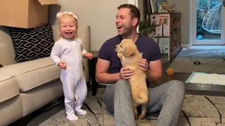 Adorable Baby Girl Tries To Walk Golden Retriever Puppy! (Cutest Transition!!)