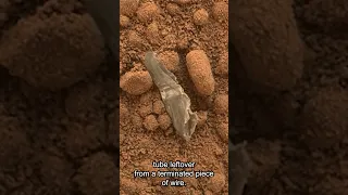 Mars Rover Finds Plastic On Mars