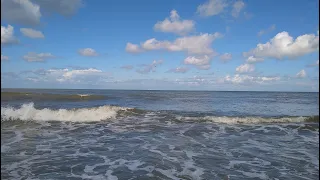 Zeebaars vanaf het strand Joop Folkers