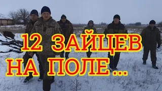 Охота на зайца! Таксация (Ревизия)🐇 12 зайцев на поле 80 га Приятного просмотра! Вместе веселей 🙋‍♂️