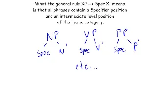 Syntax 5 phrase structure 2 X bar