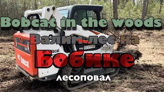 Валим лес на Бобике в Америке skid steer Bobcat