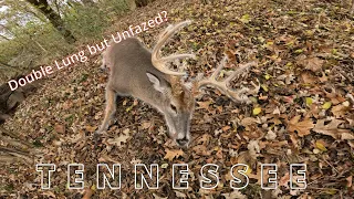 Giant Tennessee Buck Arrowed Twice Inside 15 Yards