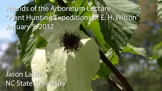 "Plant Hunting Expeditions of E. H. Wilson"