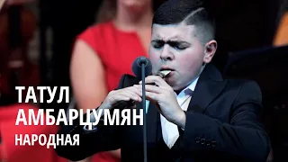 Татул Амбарцумян. Народная.