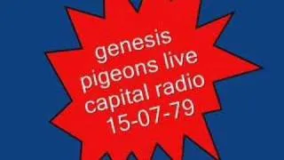 genesis- pigeons live
