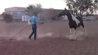 Troubleshooting the horse that turns in while lunging, Mike Hughes, Auburn California
