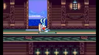 Longplay - Tiny Toon Adventures - Buster`s Hidden Treasure (1993)