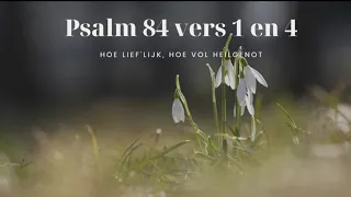 Psalm 84 vers 1 en 4 - Hoe lief'lijk, hoe vol heilgenot