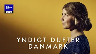 Yndigt dufter Danmark // DR Pigekoret (LIVE)