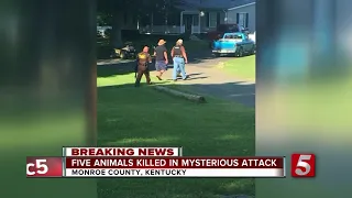 Ky. Officials Investigate Mysterious Animal Killings