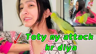 Dudu (parrot) ny Bohat Zor sy kata sb ko | Hira Faisal