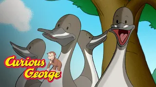 George and the Ducks 🐵 Curious George 🐵Kids Cartoon 🐵 Kids Movies 🐵Videos for Kids