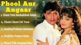 Phool Aur Angaar Movie All Songs||Mithun Chakraborty & Shantipriya||Long Time Songs||