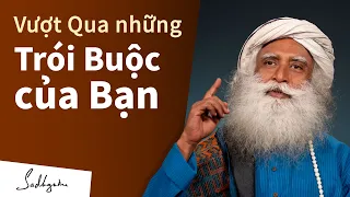 90% Công Việc Tâm Linh Sẽ Hoàn Thành Nếu Bạn Làm Việc Này | Sadhguru Tiếng Việt