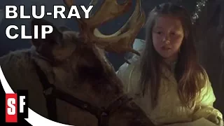 Prancer - Clip 2: Jessica With Prancer