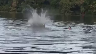 Dpdt  girl in blue swim suit does backflip off bridge and fails on back