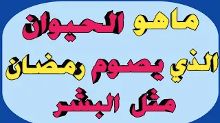 ‪ما هو الحيوان الذي يصوم رمضان مثل البشر |وما هو الحيون الذي يصوم ٣ سنوات