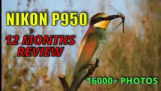 NIKON P950 CAMERA 12 MONTHS REVIEW